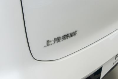2022款 2.0T 蓝鲸版-外观-图片-有驾