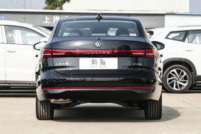 2026款 Pro 300TSI 星空智逸版-外观-图片-有驾