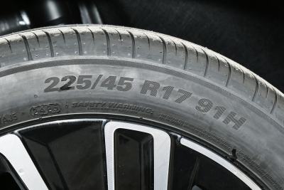 2026款 Pro 300TSI 星空智逸版-外观-图片-有驾