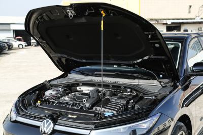 2026款 Pro 300TSI 星空智逸版-外观-图片-有驾