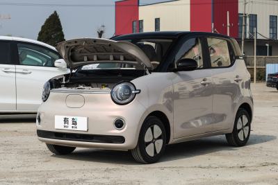 2026款 第五代 205km 进阶款-外观-图片-有驾