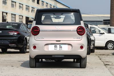 2026款 第五代 205km 进阶款-外观-图片-有驾