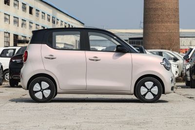 2026款 第五代 205km 进阶款-外观-图片-有驾