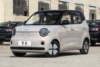 2026款 第五代 205km 进阶款-外观-图片-有驾