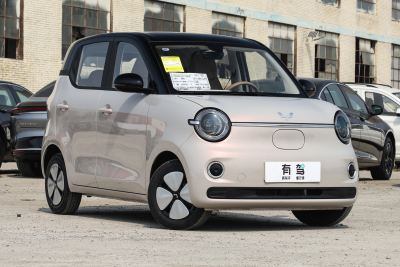 2026款 第五代 205km 进阶款-外观-图片-有驾