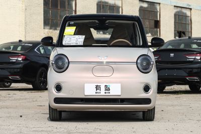 2026款 第五代 205km 进阶款-外观-图片-有驾