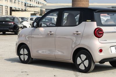 2026款 第五代 205km 进阶款-外观-图片-有驾