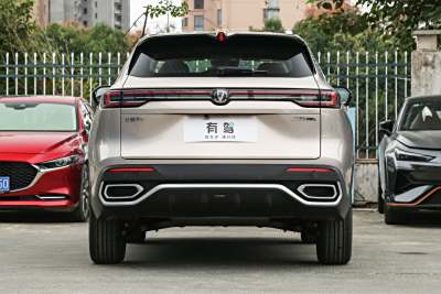 2026款 第四代 新蓝鲸 1.5T 天枢尊贵型-外观-图片-有驾
