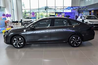 2026款 L 300TSI DSG 时尚型-外观-图片-有驾