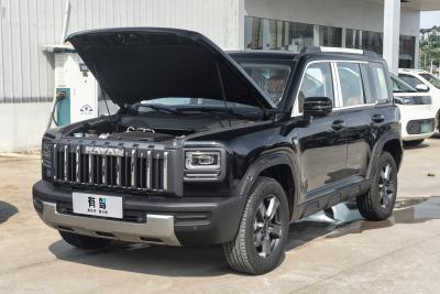 2025款 2.0T 4WD Pro-外观-图片-有驾