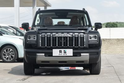2025款 2.0T 4WD Pro-外观-图片-有驾