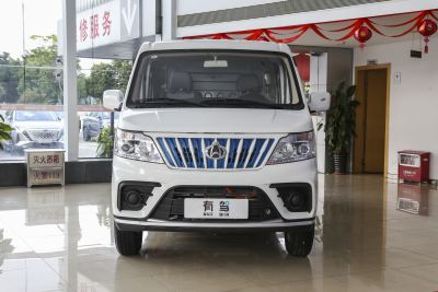 2023款 平顶背掀门2座60kW 41.932kWh-外观-图片-有驾