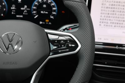 2025款 Pro 380TSI 龙运版-内饰-图片-有驾