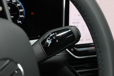 2025款 Pro 380TSI 龙运版-内饰-图片-有驾
