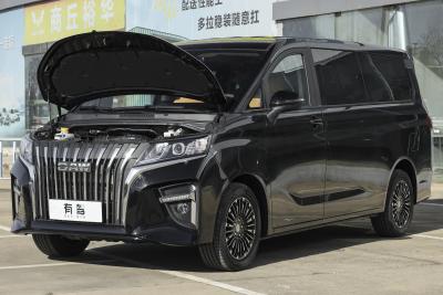 2026款 2.0L 自动长轴豪华型 7座-外观-图片-有驾