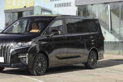 2026款 2.0L 自动长轴豪华型 7座-外观-图片-有驾