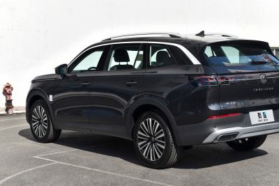 2024款  330TSI 豪华巡逸 众享款-外观-图片-有驾