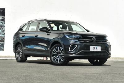 2024款  330TSI 豪华巡逸 众享款-外观-图片-有驾