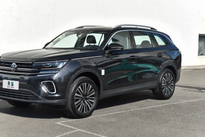 2024款  330TSI 豪华巡逸 众享款-外观-图片-有驾