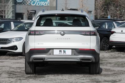2024款  330TSI 豪华巡逸 众享款-外观-图片-有驾