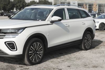 2024款  330TSI 豪华巡逸 众享款-外观-图片-有驾