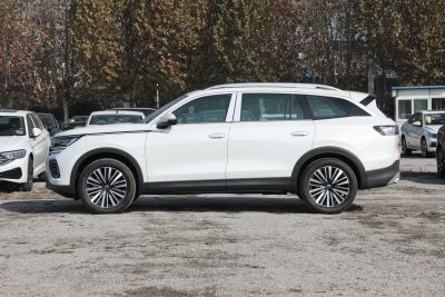 2024款  330TSI 豪华巡逸 众享款-外观-图片-有驾