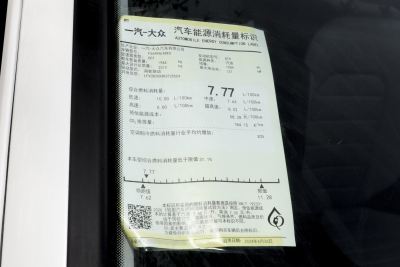 2024款  330TSI 豪华巡逸 众享款-外观-图片-有驾