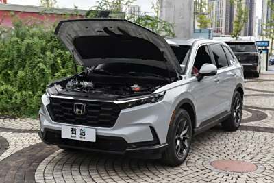 2026款 全球30年荣耀款 240TURBO 两驱智领版-外观-图片-有驾