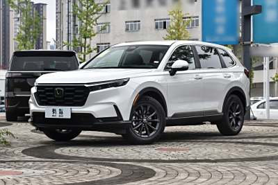 2026款 全球30年荣耀款 240TURBO 两驱智领版-外观-图片-有驾