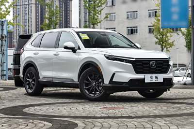 2026款 全球30年荣耀款 240TURBO 两驱智领版-外观-图片-有驾