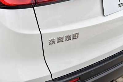 2026款 全球30年荣耀款 240TURBO 两驱智领版-外观-图片-有驾