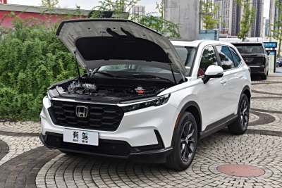 2026款 全球30年荣耀款 240TURBO 两驱智领版-外观-图片-有驾