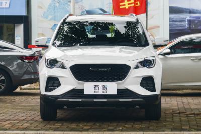 2022款 1.5T DCT酋长版 7座-外观-图片-有驾