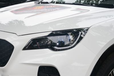 2022款 1.5T DCT酋长版 7座-外观-图片-有驾