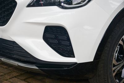 2022款 1.5T DCT酋长版 7座-外观-图片-有驾