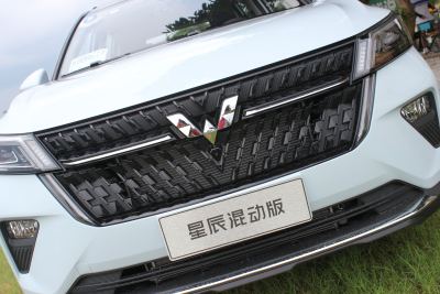 2022款 2.0L DHT电速款-外观-图片-有驾