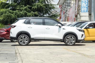 2022款 2.0L DHT电速款-外观-图片-有驾