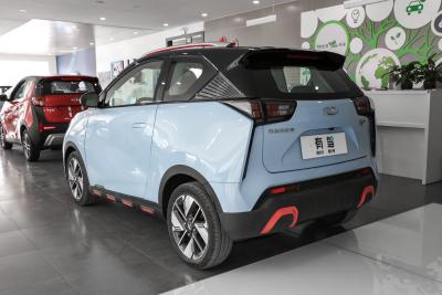2022款 301km 神兽版 三元锂 30.6kWh-外观-图片-有驾