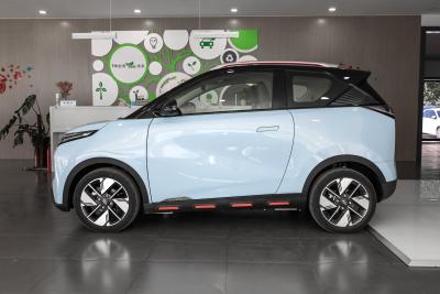 2022款 301km 神兽版 三元锂 30.6kWh-外观-图片-有驾