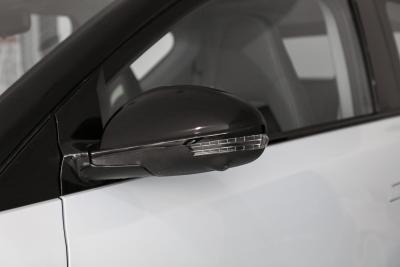 2022款 301km 神兽版 三元锂 30.6kWh-外观-图片-有驾