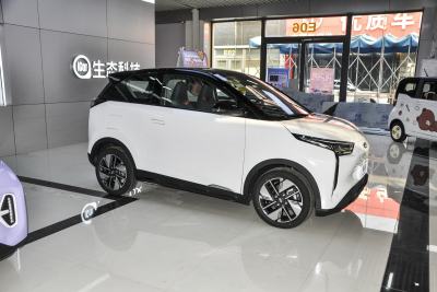2022款 301km 神兽版 三元锂 30.6kWh-外观-图片-有驾