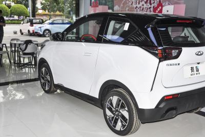 2022款 301km 神兽版 三元锂 30.6kWh-外观-图片-有驾