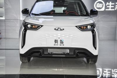 2022款 301km 神兽版 三元锂 30.6kWh-外观-图片-有驾