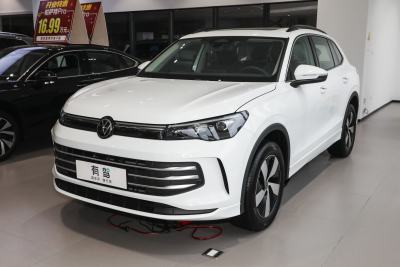 2026款 PRO 300TSI 两驱智悦版-外观-图片-有驾