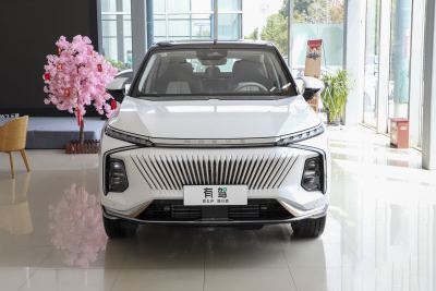 2022款 2.0T 虎鲸版-外观-图片-有驾