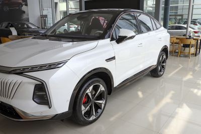 2022款 2.0T 虎鲸版-外观-图片-有驾