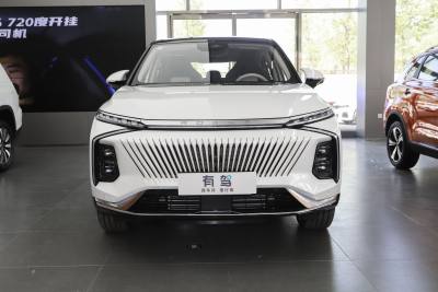 2022款 2.0T 虎鲸版-外观-图片-有驾