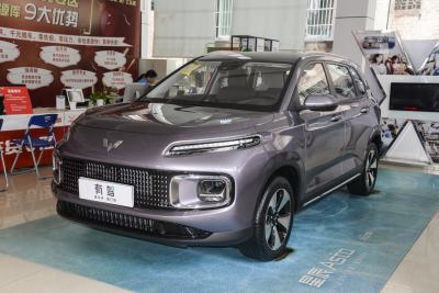 2023款 2.0L DHT 标准版-外观-图片-有驾