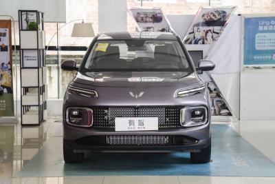 2023款 2.0L DHT 标准版-外观-图片-有驾