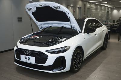 2025款 2.0T 高功率低配-外观-图片-有驾